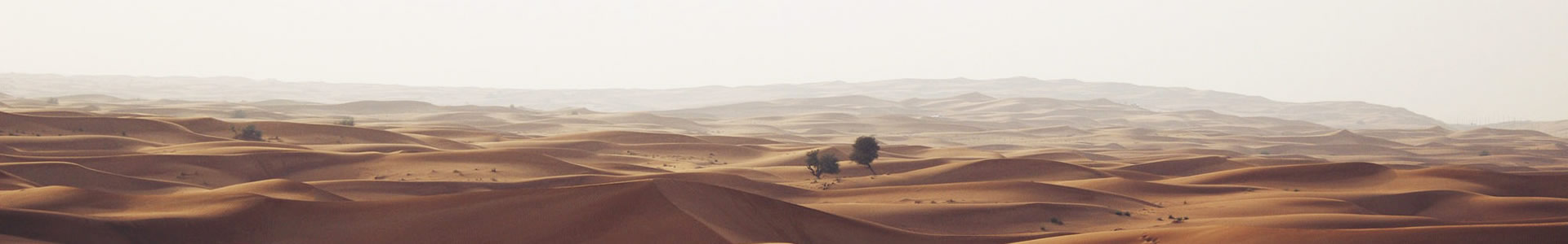 ŷĿƼչ޹˾